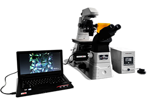 CREATIVE I1研究型倒置顯微鏡